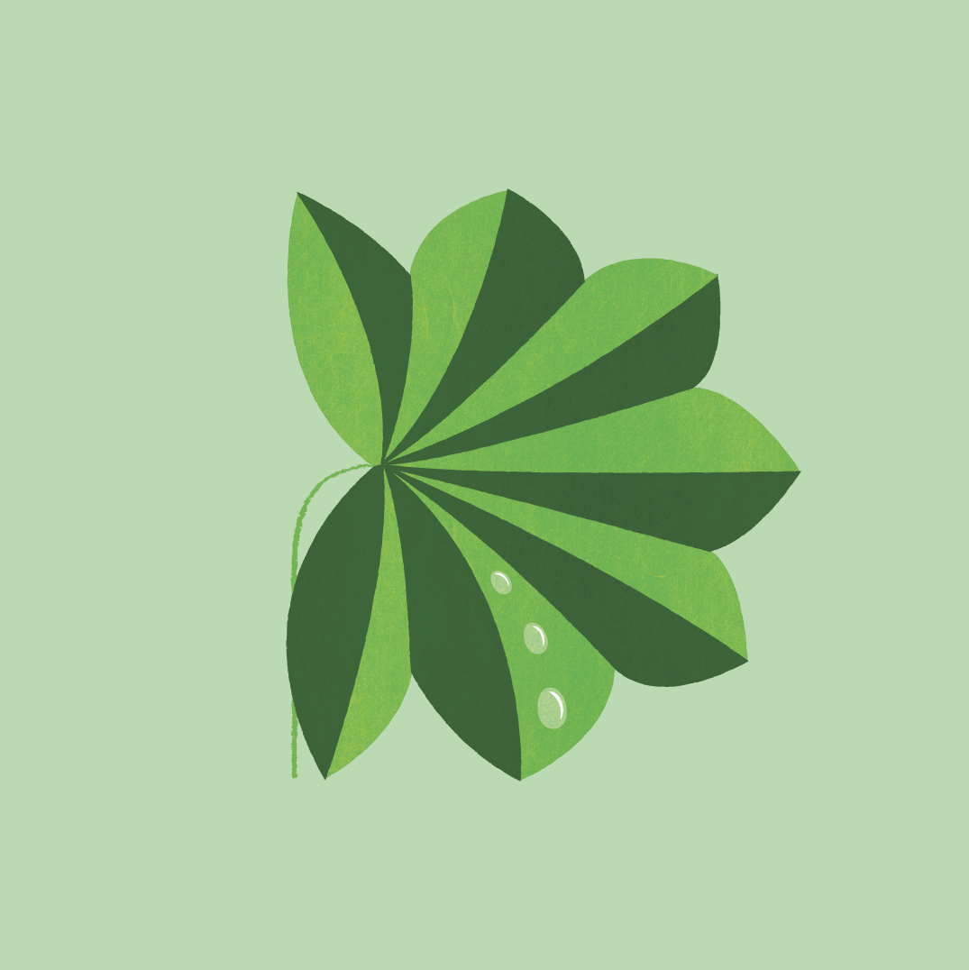 Abc by Emelie Zetterberg