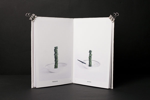 Artist book by Emelie Zetterberg