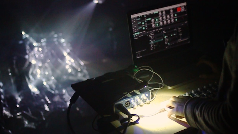 Iris project by Emelie Zetterberg